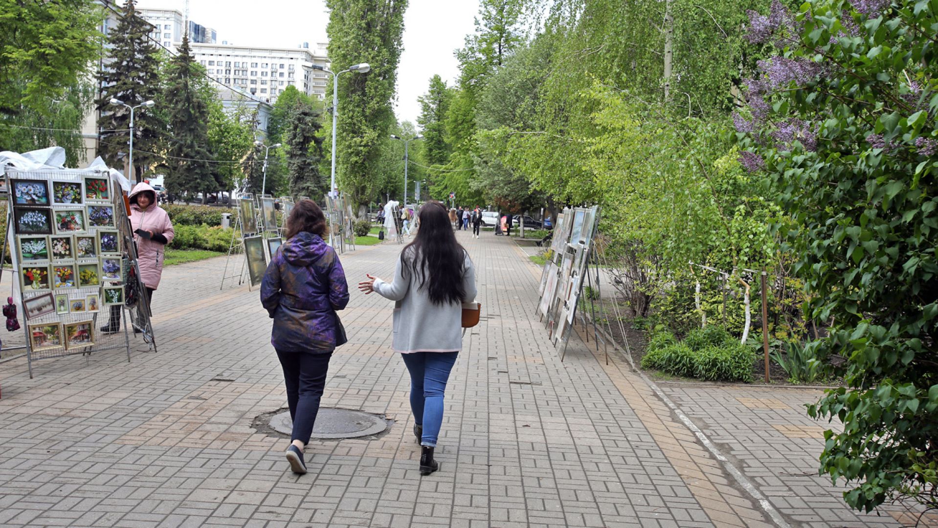 Появится ли в Воронеже больше пешеходных улиц