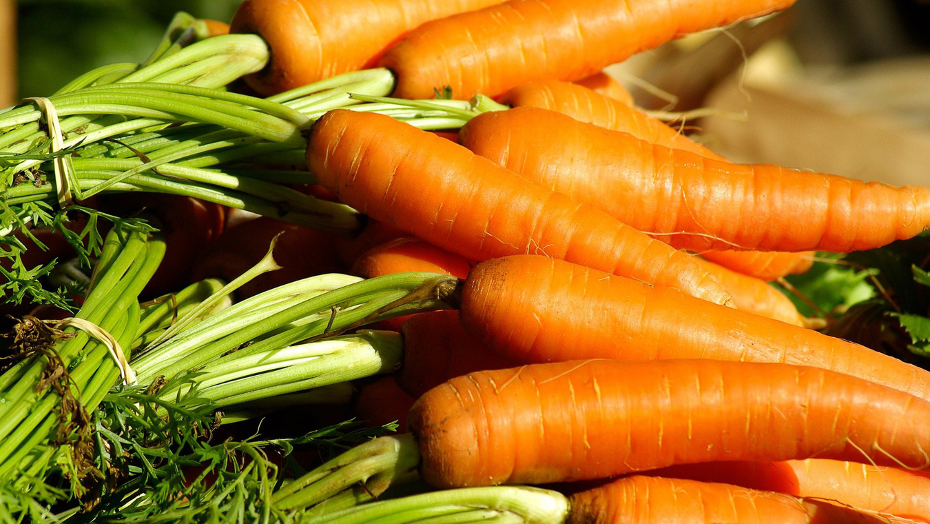 Подорожавшими морковкой и свёклой воронежцев кормят… москвичи