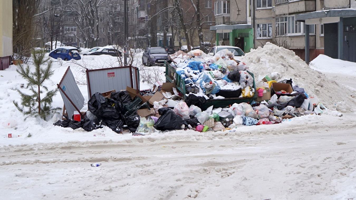 Почему дворы в Липецке завалены мусором?