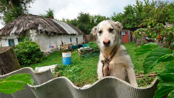 Хижина тёти Маши