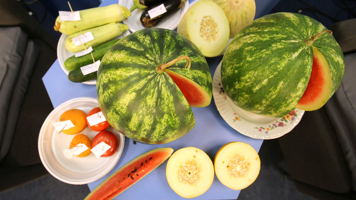 В каких овощах и фруктах прячутся нитраты